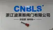 Zhejiang BLS Valve Co., Ltd