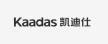 浙江凯迪仕实业有限公司  （温州）