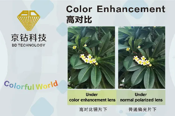 BD (Xiamen) Technology Co., Ltd. — image 3