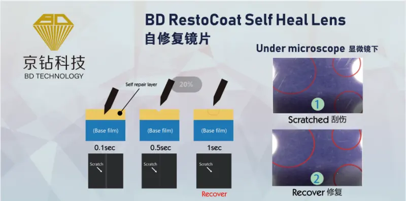 BD (Xiamen) Technology Co., Ltd. — image 2